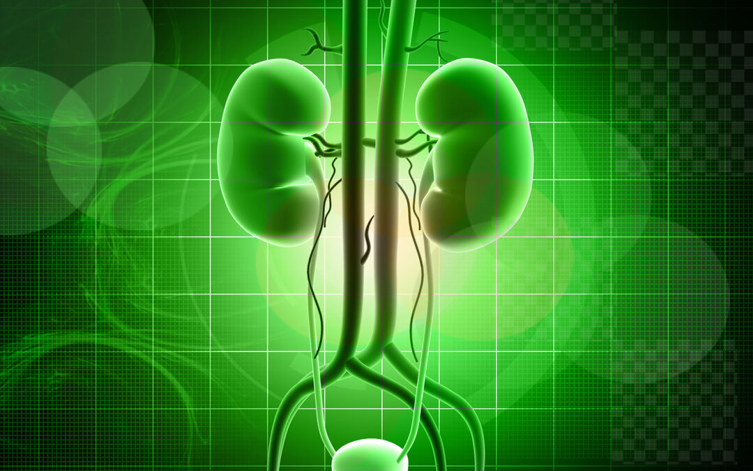 7 ways the EMPA-KIDNEY trial will impact clinical care in CKD